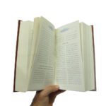 مثنوی پالتویی